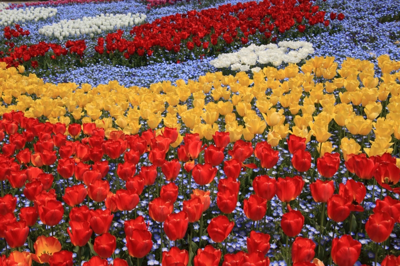 f:id:hiroshisj:20140423204914j:image