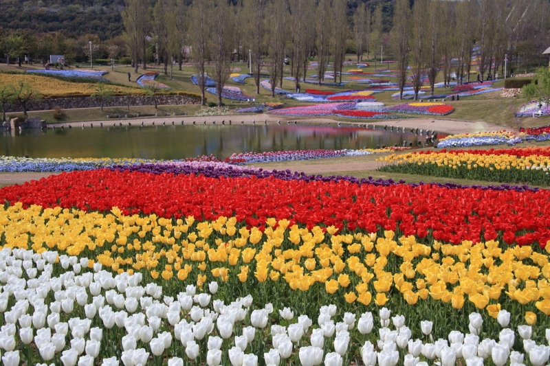 f:id:hiroshisj:20140423205001j:image