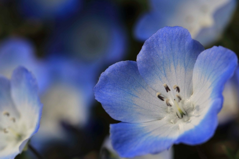 f:id:hiroshisj:20140424084357j:image