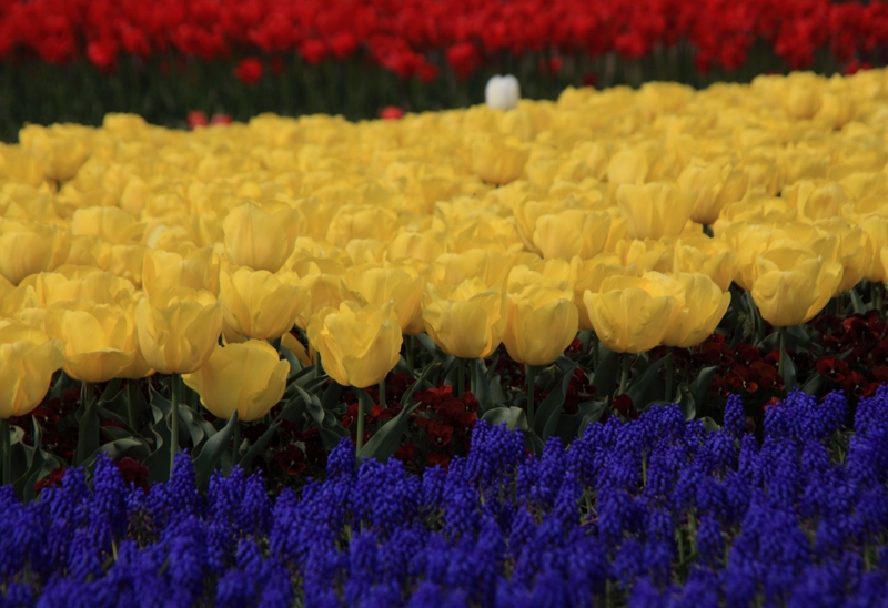 f:id:hiroshisj:20140424194514j:image f:id:hiroshisj:20140424194514j:image