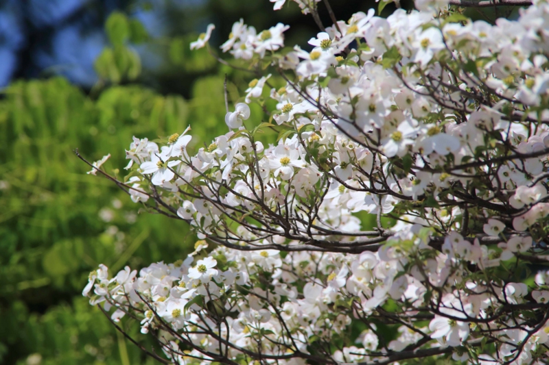 f:id:hiroshisj:20140427211246j:image f:id:hiroshisj:20140427211246j:image