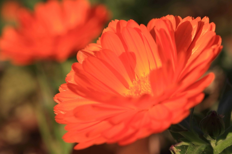 f:id:hiroshisj:20140427211729j:image f:id:hiroshisj:20140427211729j:image