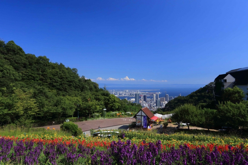 f:id:hiroshisj:20140728165613j:image