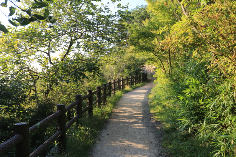 f:id:hiroshisj:20140728165734j:image