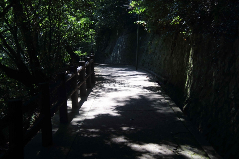 f:id:hiroshisj:20140728194346j:image