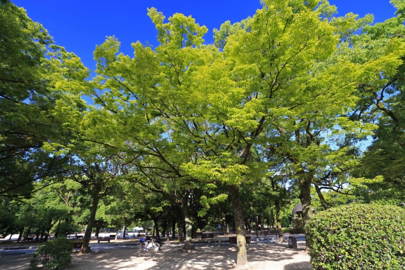 f:id:hiroshisj:20140808121633j:image