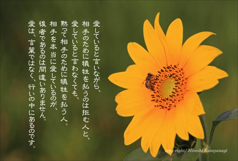 f:id:hiroshisj:20140827182208j:image f:id:hiroshisj:20140827182208j:image
