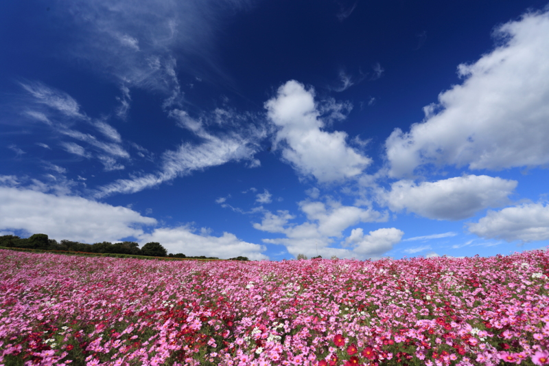 f:id:hiroshisj:20140828175607j:image