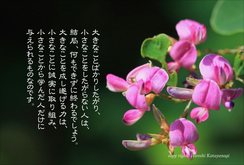 f:id:hiroshisj:20140829172636j:image