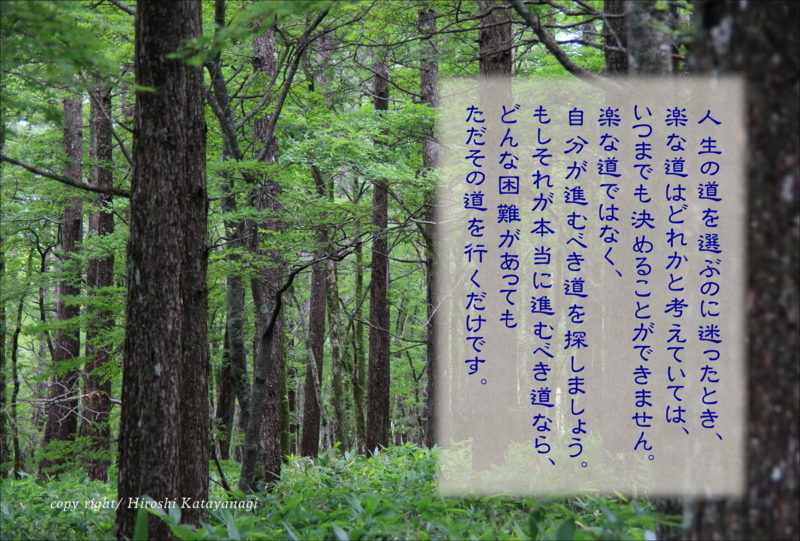 f:id:hiroshisj:20140902064228j:image