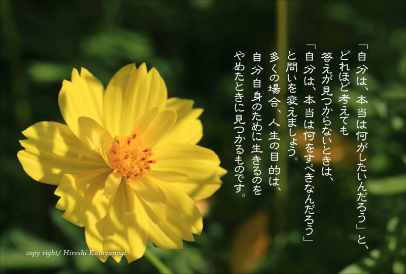 f:id:hiroshisj:20140908200508j:image f:id:hiroshisj:20140908200508j:image