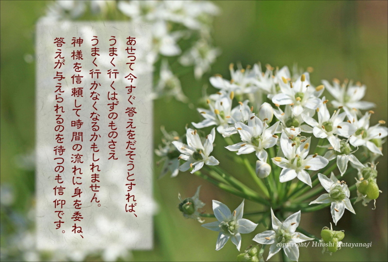 f:id:hiroshisj:20140912111457j:image