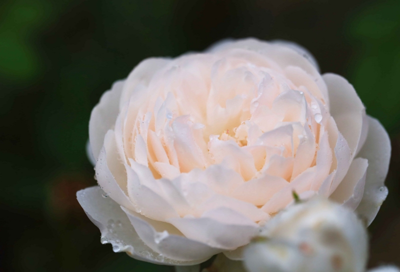 f:id:hiroshisj:20140913181136j:image f:id:hiroshisj:20140913181136j:image