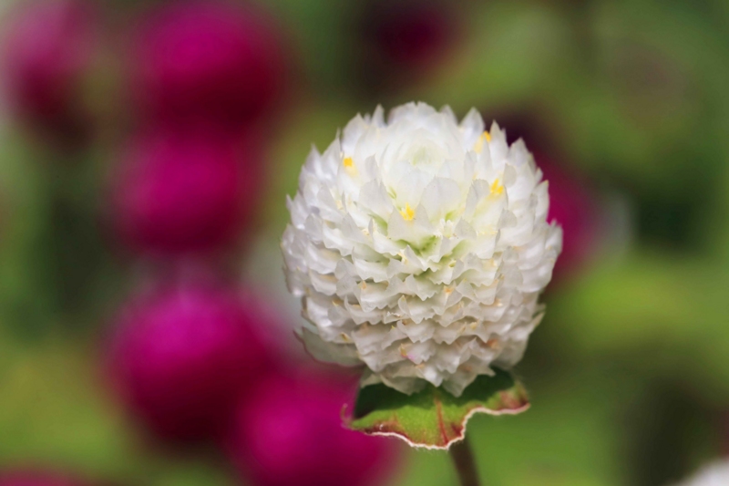 f:id:hiroshisj:20140913181233j:image f:id:hiroshisj:20140913181233j:image