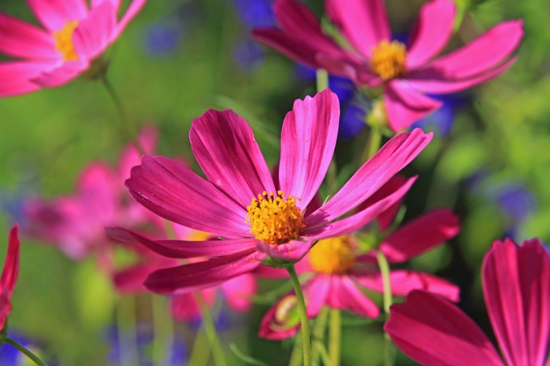 f:id:hiroshisj:20140913181432j:image f:id:hiroshisj:20140913181432j:image