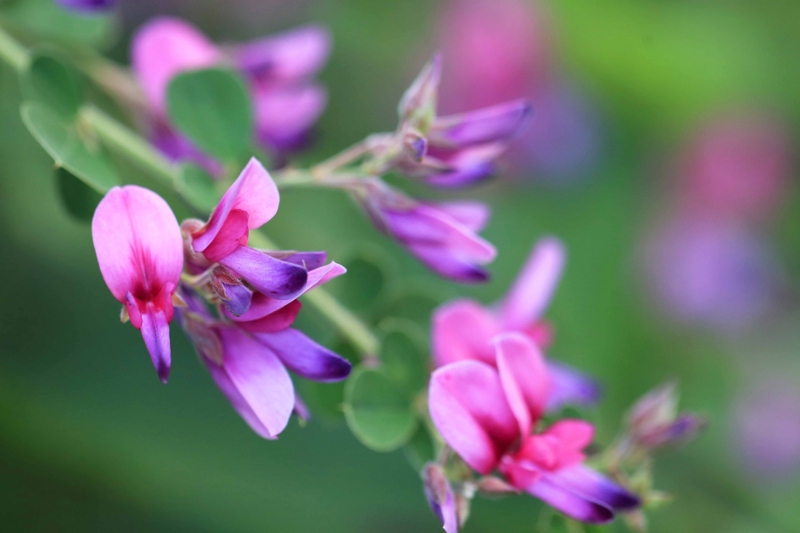 f:id:hiroshisj:20140913181904j:image f:id:hiroshisj:20140913181904j:image