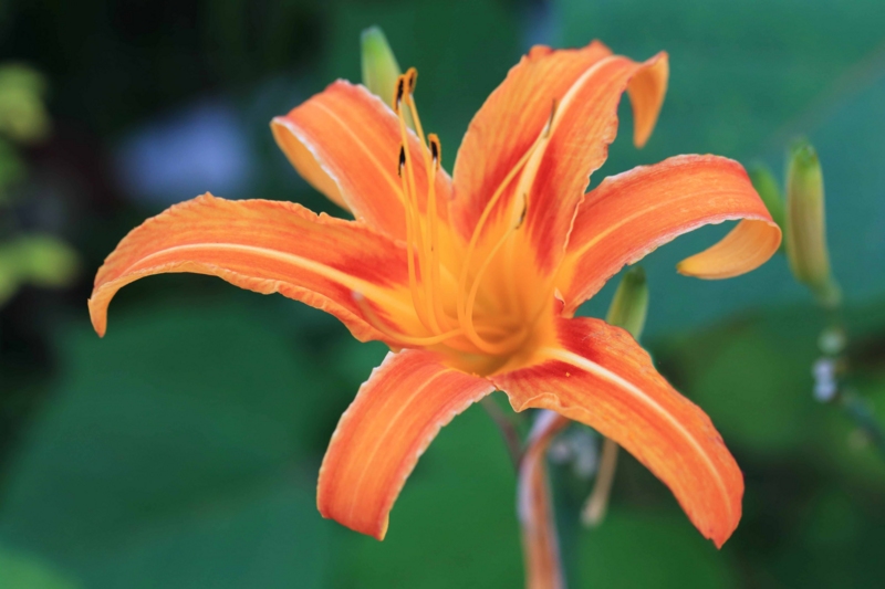 f:id:hiroshisj:20140913181924j:image f:id:hiroshisj:20140913181924j:image