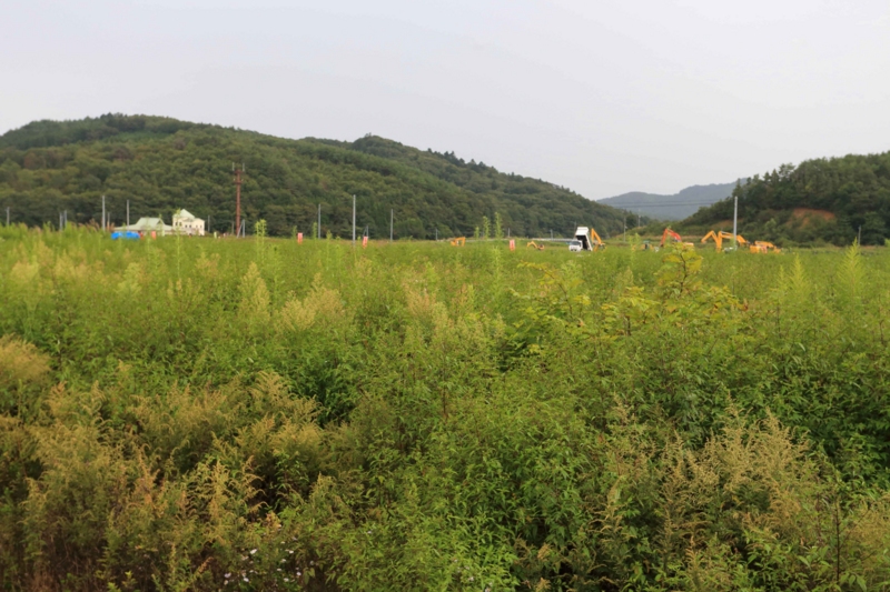 f:id:hiroshisj:20140917192013j:image