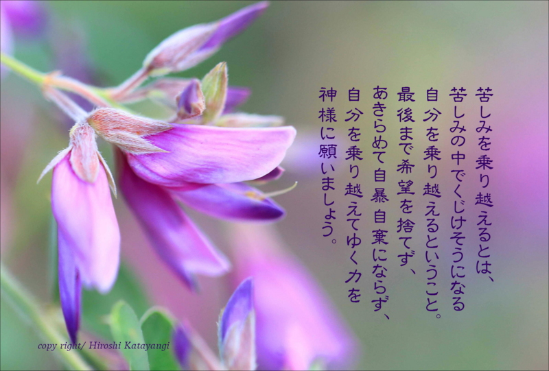 f:id:hiroshisj:20140922194604j:image f:id:hiroshisj:20140922194604j:image