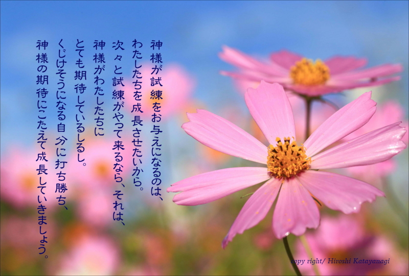 f:id:hiroshisj:20140926211054j:image f:id:hiroshisj:20140926211054j:image