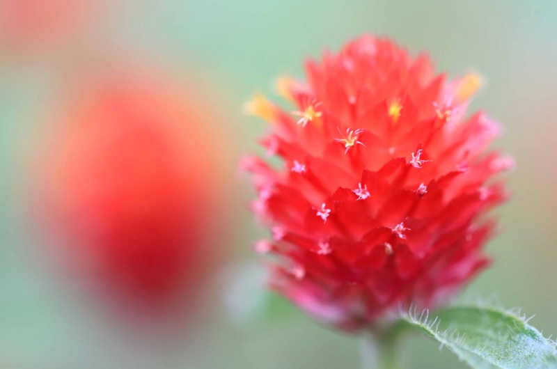 f:id:hiroshisj:20140927194300j:image f:id:hiroshisj:20140927194300j:image