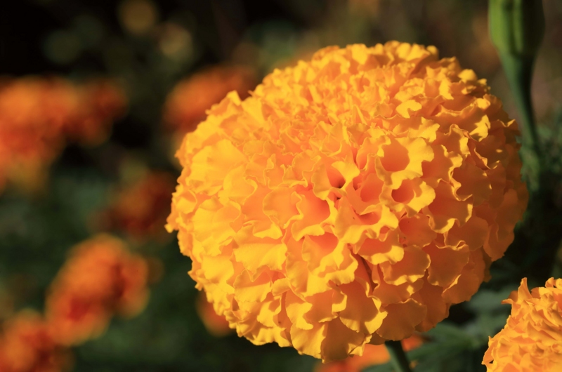 f:id:hiroshisj:20140927194431j:image f:id:hiroshisj:20140927194431j:image