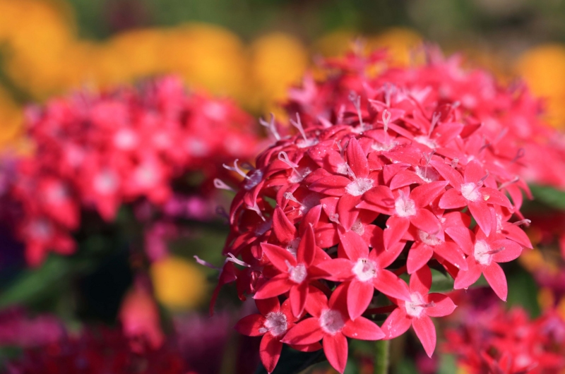 f:id:hiroshisj:20140927194504j:image f:id:hiroshisj:20140927194504j:image