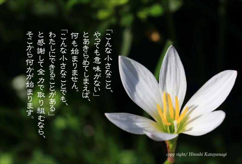 f:id:hiroshisj:20140930180351j:image