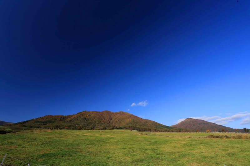 f:id:hiroshisj:20141103183029j:image