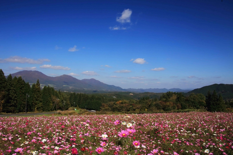 f:id:hiroshisj:20141103183216j:image