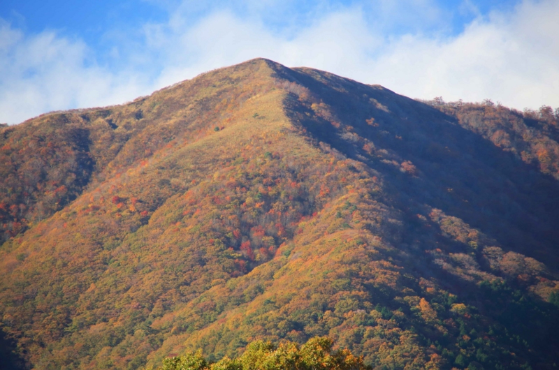 f:id:hiroshisj:20141103193147j:image