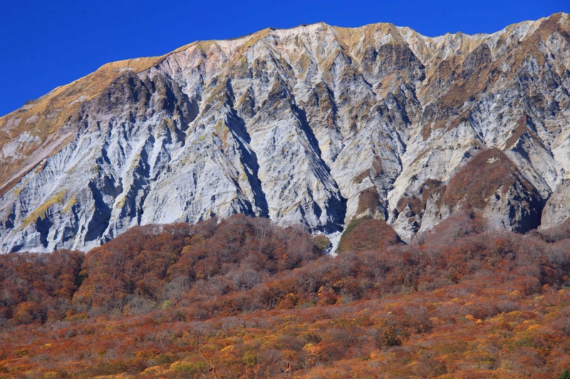 f:id:hiroshisj:20141103224851j:image