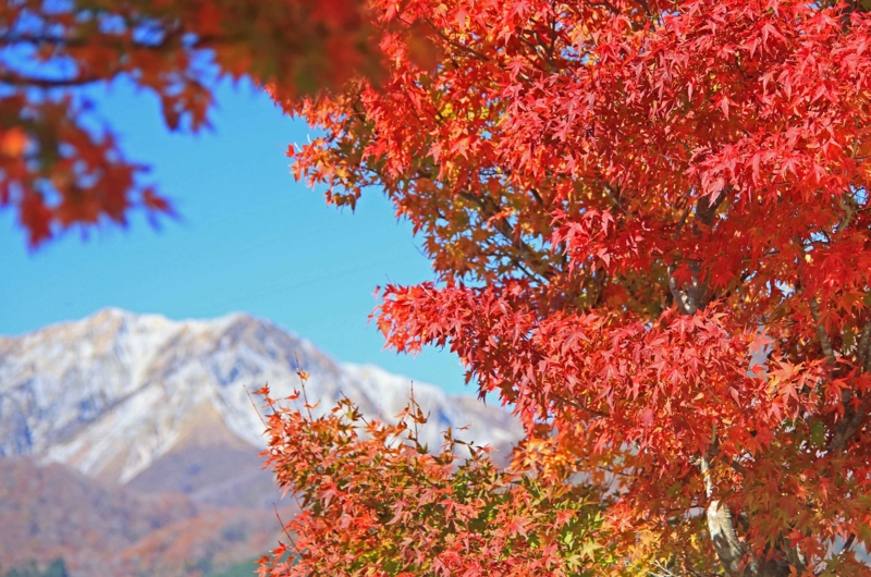 f:id:hiroshisj:20141103225042j:image
