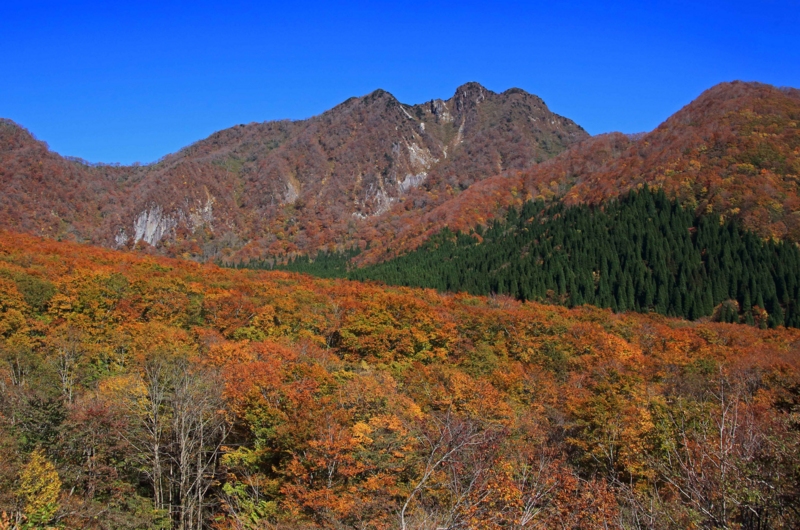 f:id:hiroshisj:20141103231442j:image