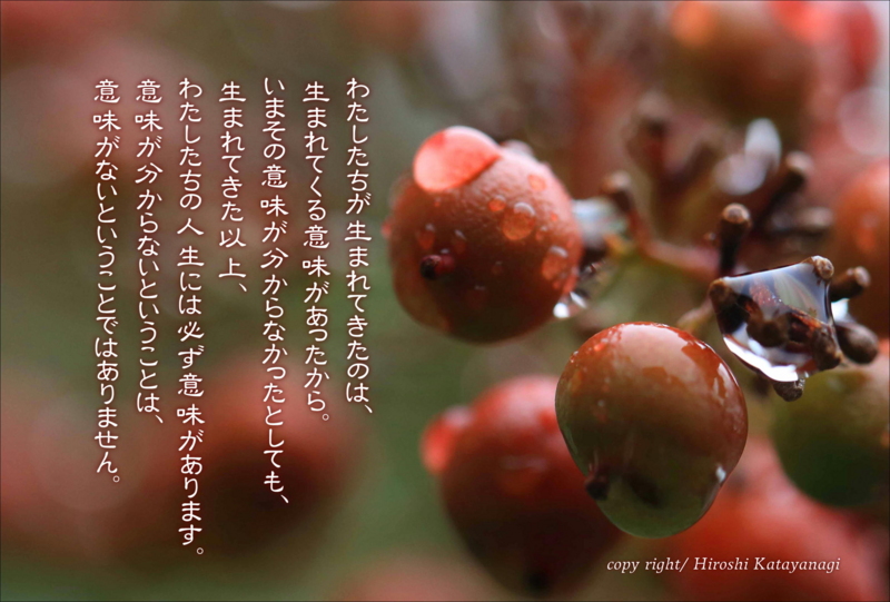 f:id:hiroshisj:20141115192618j:image