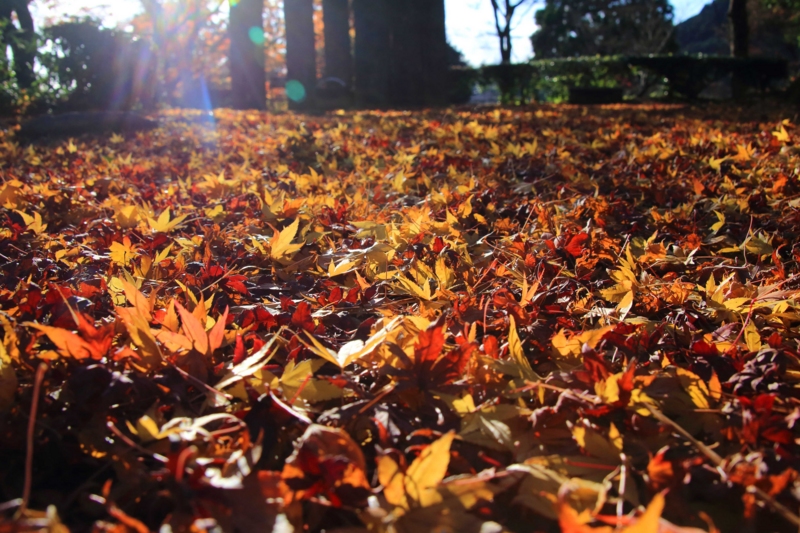 f:id:hiroshisj:20141201170826j:image