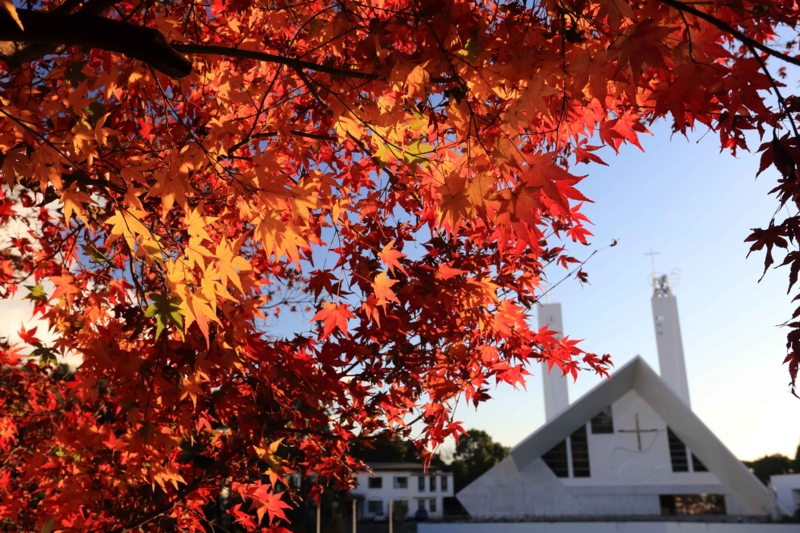 f:id:hiroshisj:20141201171147j:image