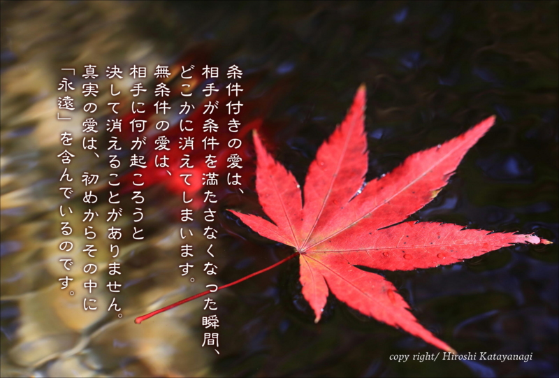f:id:hiroshisj:20141203195411j:image