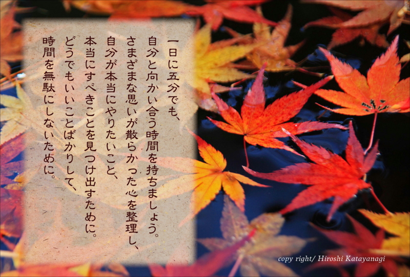f:id:hiroshisj:20141205181431j:image
