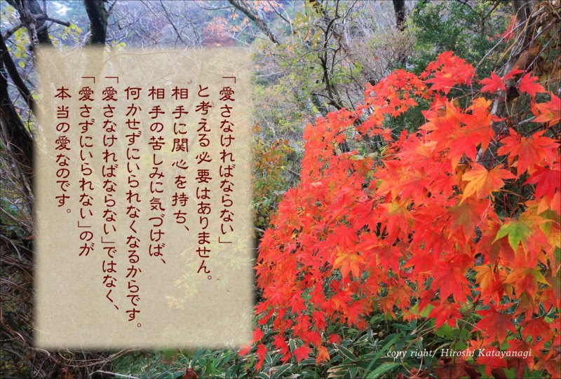 f:id:hiroshisj:20141210210205j:image