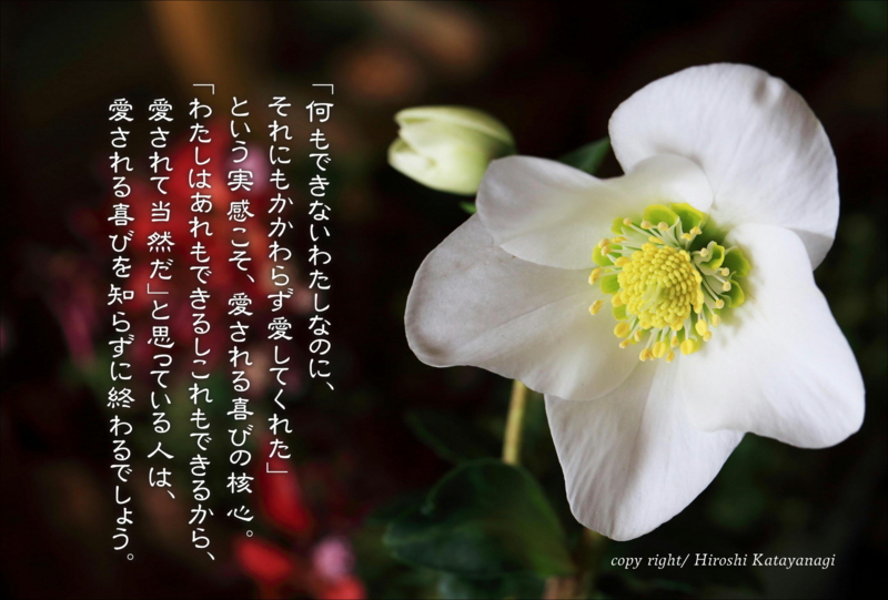 f:id:hiroshisj:20141218205151j:image f:id:hiroshisj:20141218205151j:image
