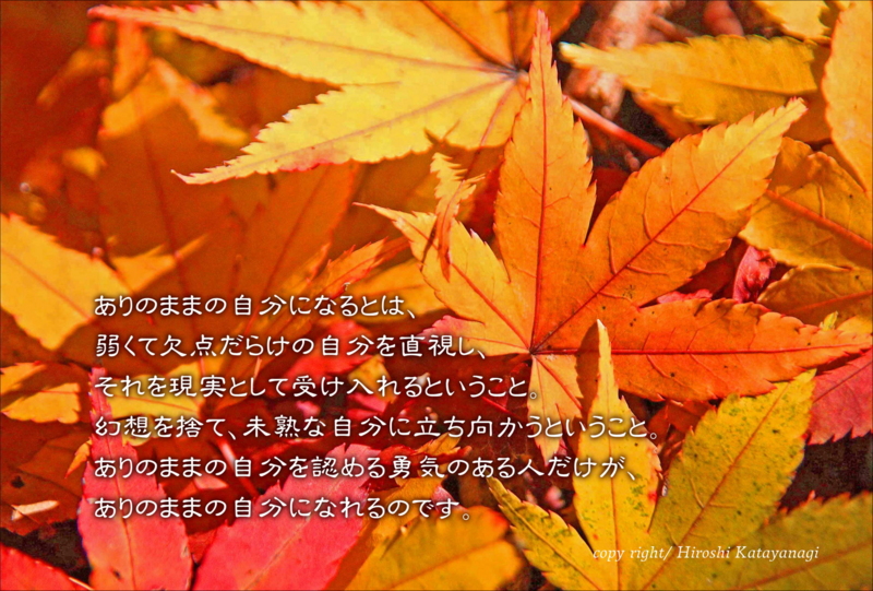 f:id:hiroshisj:20141219182012j:image f:id:hiroshisj:20141219182012j:image