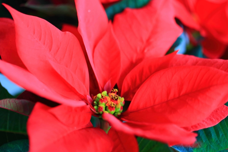 f:id:hiroshisj:20141225201920j:image