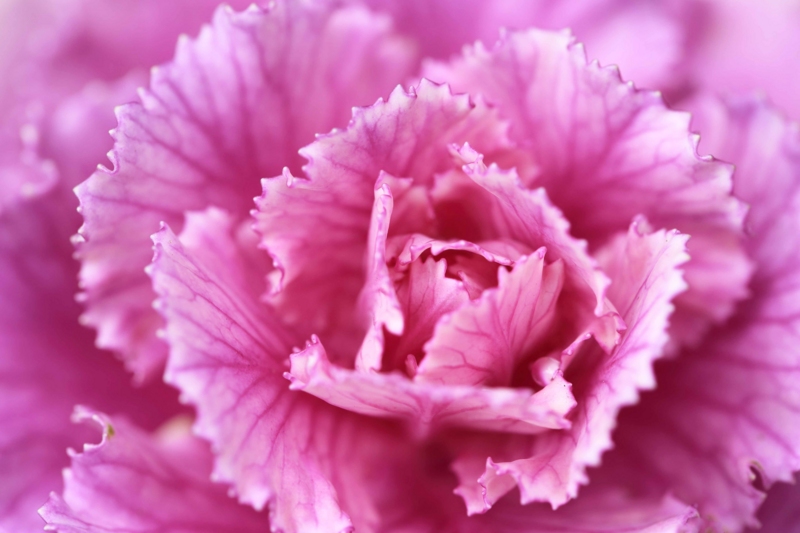 f:id:hiroshisj:20141228210520j:image