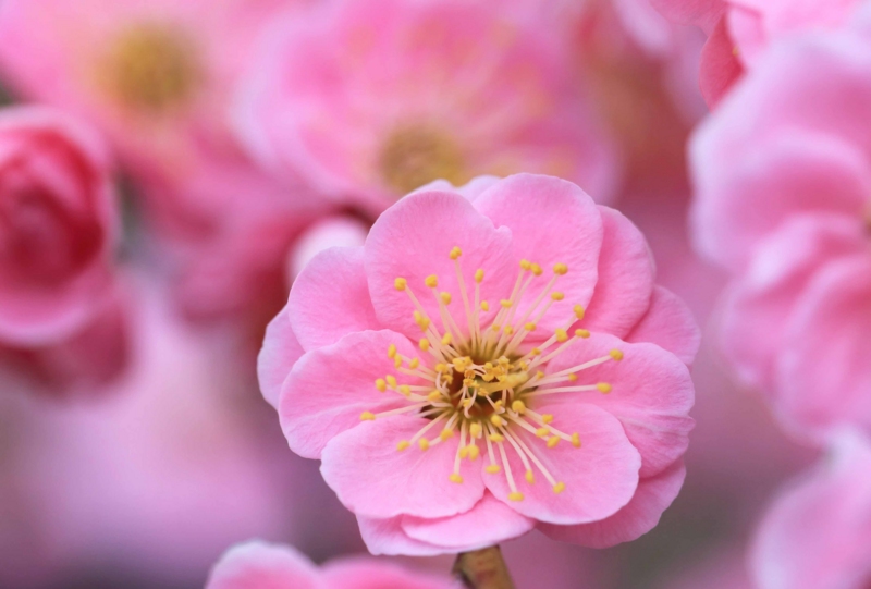 f:id:hiroshisj:20141231201028j:image