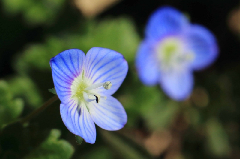 f:id:hiroshisj:20150216180138j:image f:id:hiroshisj:20150216180138j:image