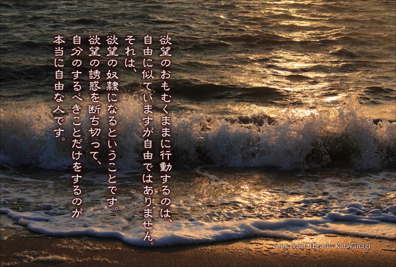 f:id:hiroshisj:20150220204242j:image