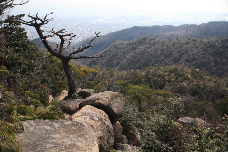 f:id:hiroshisj:20150222200026j:image f:id:hiroshisj:20150222200026j:image