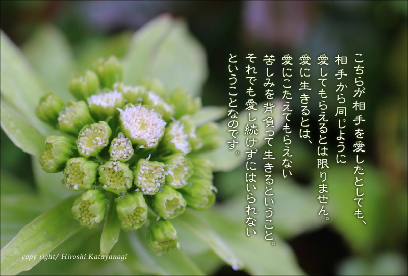 f:id:hiroshisj:20150226185343j:image