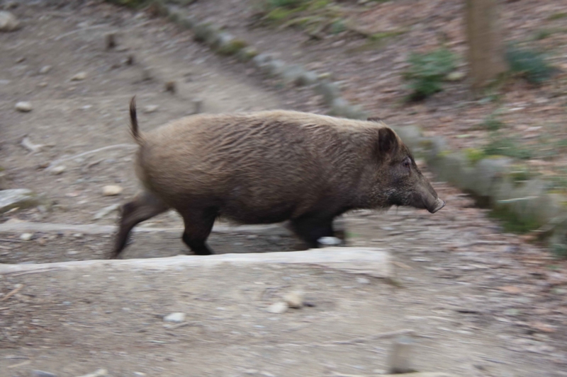 f:id:hiroshisj:20150312191841j:image